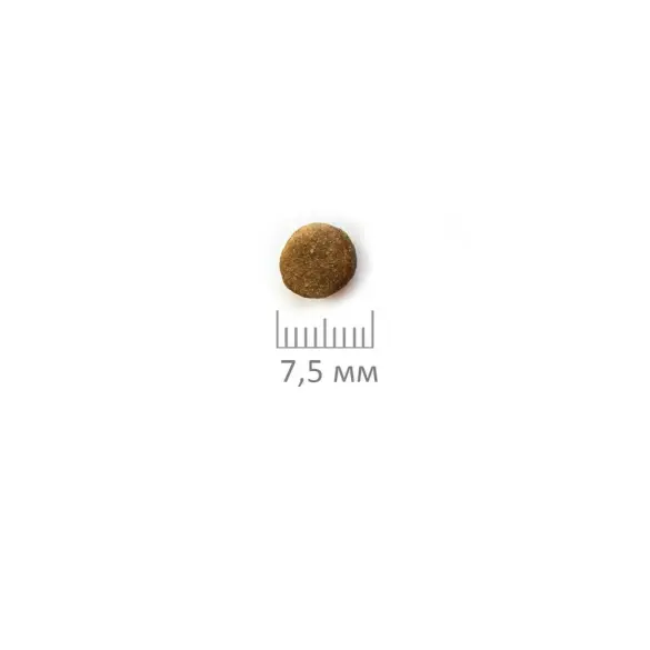 2кг Корм ProBalance Immuno Adult Mini для собак миниатюрных пород
