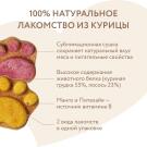 4гр Лакомство Мнямс "Фросты" для собак и щенков с 4 месяцев с Лососем, Манго+питахайя, 1шт