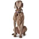 Ошейник HUNTER Collar Davao Alu-Strong 40-55L, Мультиколор