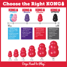Игрушка-интерактивная KONG Toy Dog Classic для собак, XL, красный