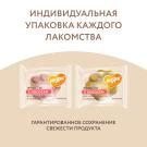 4гр Лакомство Мнямс "Фросты" для собак и щенков с 4 месяцев с Лососем, Манго+питахайя, 1шт