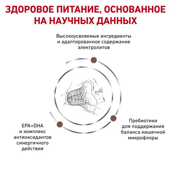0,4кг Корм ROYAL CANIN Gastrointestinal Fibre Response диета для взрослых кошек при запорах