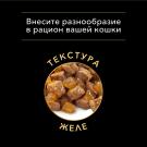 85гр Корм для кошек PRO PLAN Nutrisavour, привередливые с чувствительным пищеварением с Ягненком в соусе