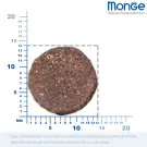 2,5кг Корм Monge Dog BWild Grain Free Adult Lamb/Potatoes беззерновой для взрослых собак всех пород с Ягненком и картофелем