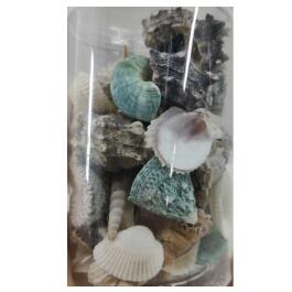Набор BARBUS морских раковин в банке №003, 300-400гр