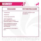 100гр Влажный корм Monge VetSolution Cat Recovery Вет. диета для кошек после операций и травм
