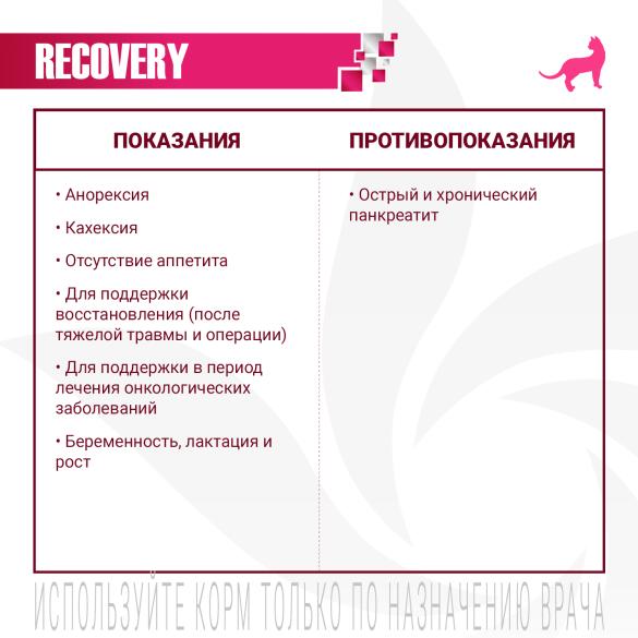 100гр Влажный корм Monge VetSolution Cat Recovery Вет. диета для кошек после операций и травм