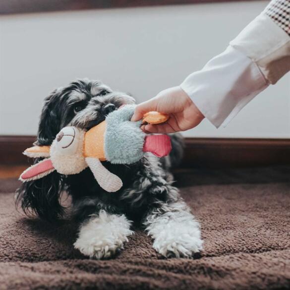 Игрушка Hunter Toy Dog Muli Rabbit для собак с пищалкой, 18см