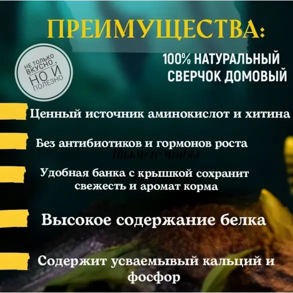 40гр Корм AQUAMENU Сверчок консервированный