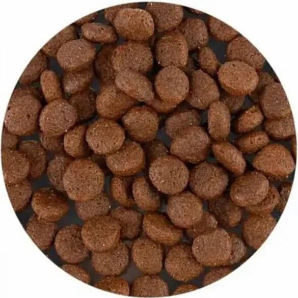 2кг Корм Primordial Holistic Grain-Free Dog Adult Trout & Duck для взрослых собак всех пород с Форелью и Уткой