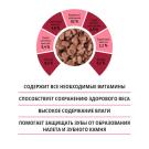 75гр Корм для кошек ТМ "Kott"  с Говядиной в соусе