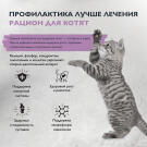 1,5кг Корм Brit Care Cat Kitten Healthy Growth для котят с индейкой