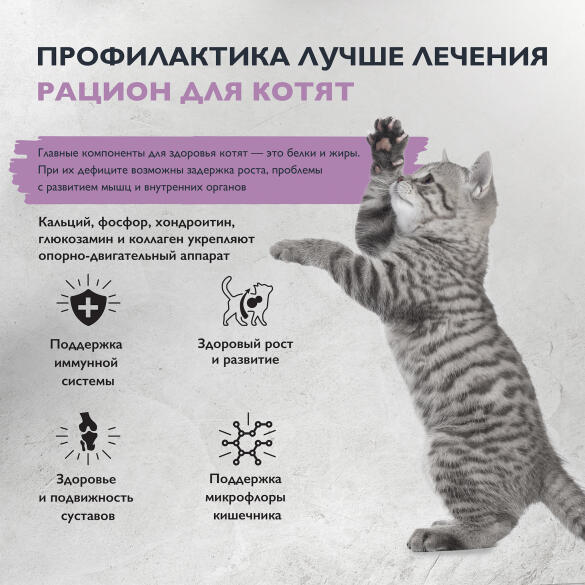 1,5кг Корм Brit Care Cat Kitten Healthy Growth для котят с индейкой