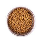 1,5кг Корм Monge Cat Monoprotein Kitten Duck Монопротеиновый для котят и беременных кошек с Уткой