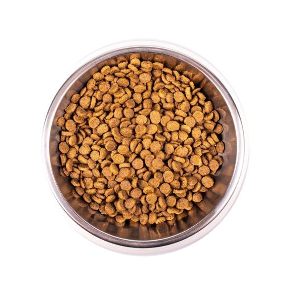 1,5кг Корм Monge Cat Monoprotein Kitten Duck Монопротеиновый для котят и беременных кошек с Уткой