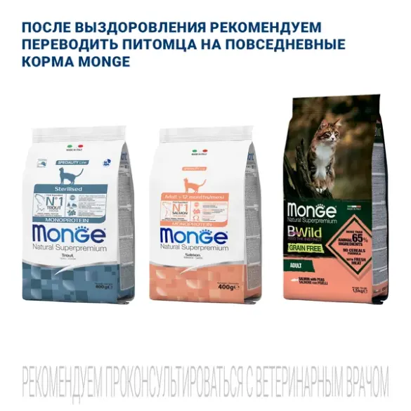 0,4кг Корм Monge VetSolution Cat Dermatosis Вет. диета для кошек с заболеваниями кожи