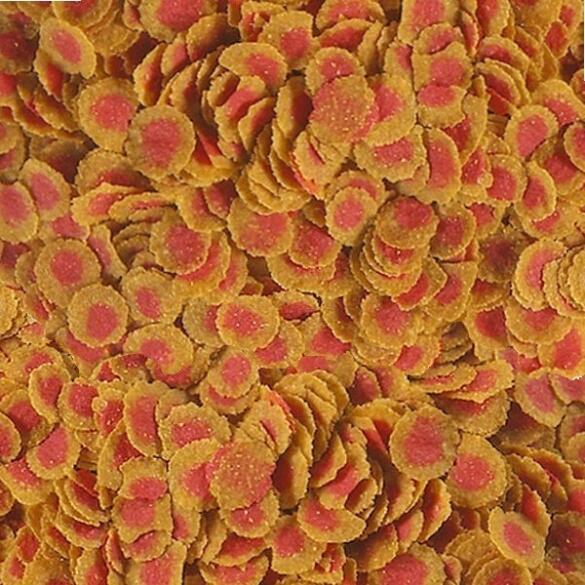 Корм в развес TETRA Crisps Pro Color Чипсы для усиления окраса рыб, 1кг