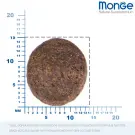 2,5кг Корм Monge Dog BWild Grain Free Adult Duck/Potatoes беззерновой для взрослых собак всех пород с Уткой и картофелем