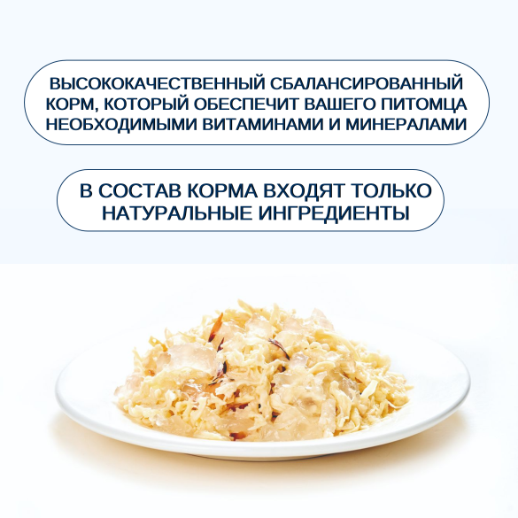 95гр Консерва WANPY для кошек из курицы с тунцом