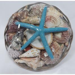 Декорация для аквариума Набор раковин в корзинке 18см