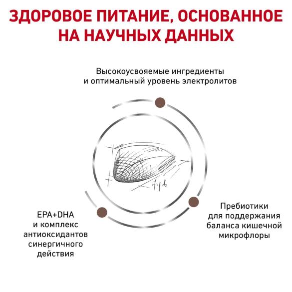 2кг Корм ROYAL CANIN Gastrointestinal диета для взрослых кошек при нарушении пищеварения