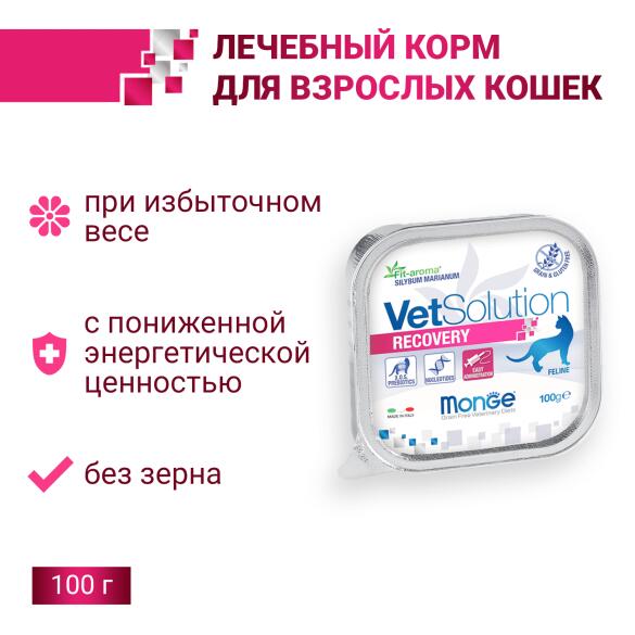 100гр Влажный корм Monge VetSolution Cat Recovery Вет. диета для кошек после операций и травм