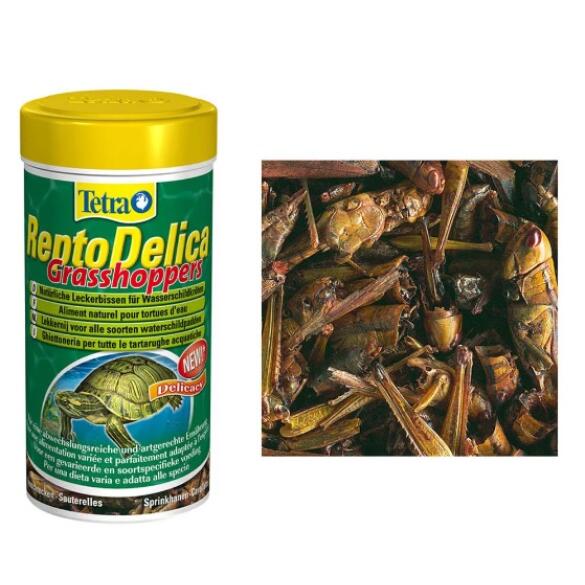 250мл Корм TETRA ReptoDelica Grasshoppers, деликатес из кузнечиков для черепах