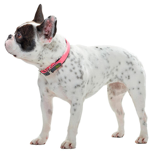 Ошейник HUNTER Collar Convenience Comf для собак 50/M, Неоновый розовый
