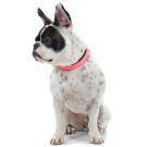 Ошейник HUNTER Collar Convenience Comf для собак 50/M, Неоновый розовый