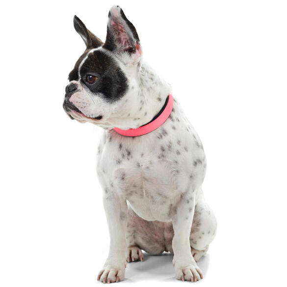 Ошейник HUNTER Collar Convenience Comf для собак 50/M, Неоновый розовый
