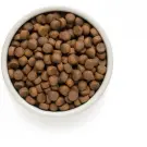 Корм в развес GRANDORF DOG Lamb&Turkey MEDIUM&MAXI BREEDS низкозерновой для собак средних и крупных пород, Ягнёнок с индейкой, 1 кг