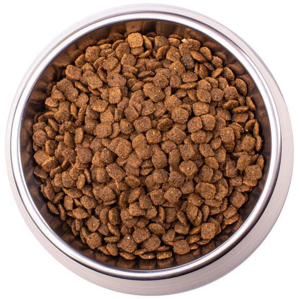 1,5кг Корм Monge VetSolution Cat Hepatic Вет. диета для кошек с заболеваниями печени