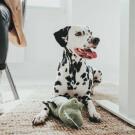 Игрушка Hunter Toy Dog Tough Toys Alligator для собак с пищалкой, 27см