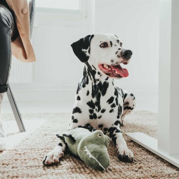 Игрушка Hunter Toy Dog Tough Toys Alligator для собак с пищалкой, 27см