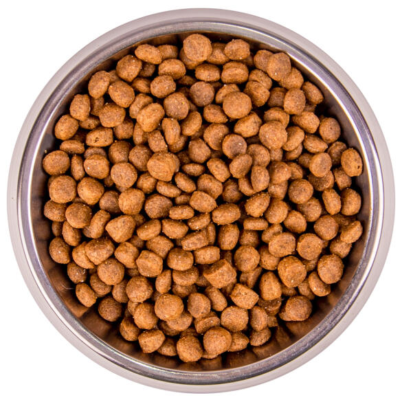 1,5кг Корм Monge Cat Bwild Grain Free Large Breed BUFFALO / POTATOES беззерновой для котят и взрослых кошек крупных пород с Буйволом и картофелем