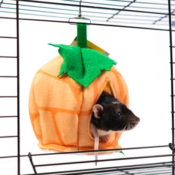 Домик из фетра Bambini Pets "Тыковка" для грызунов