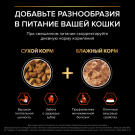3кг Корм PRO PLAN Sterilised Vital Functions Adult для стерилизованных кошек, поддержания функций почек, мозга и иммунитета с Лососем