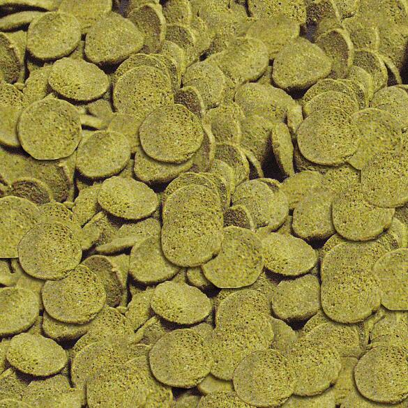 15гр Корм SERA Wels Chips Чипсы для сомов