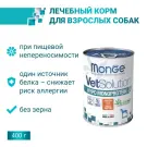400гр Консервы Monge Vetsolution Dog HYPO Monoprotein Duck Вет. диета для собак для снижения реакции пищевой непереносимости с Уткой