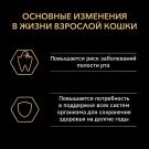 Корм в развес PRO PLAN Adult  для кошек курица+рис, 1кг