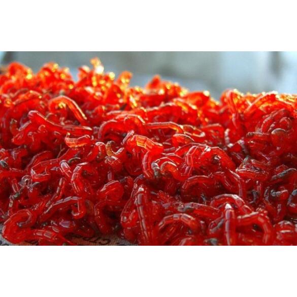 МОТЫЛЬ КРУПНЫЙ, живой для рыбалки, 1кг