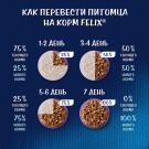 75гр Корм для кошек FELIX мясные ломтики с Уткой
