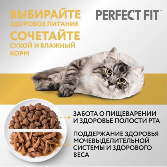 75гр Корм влажный Perfect Fit для кошек с чувствительным пищеварением Лосось в соусе