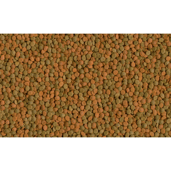 15гр Корм TETRA Wafer Mix Чипсы для травоядных хищных и донных рыб