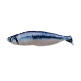 Игрушка Рыба сельдь, 18см