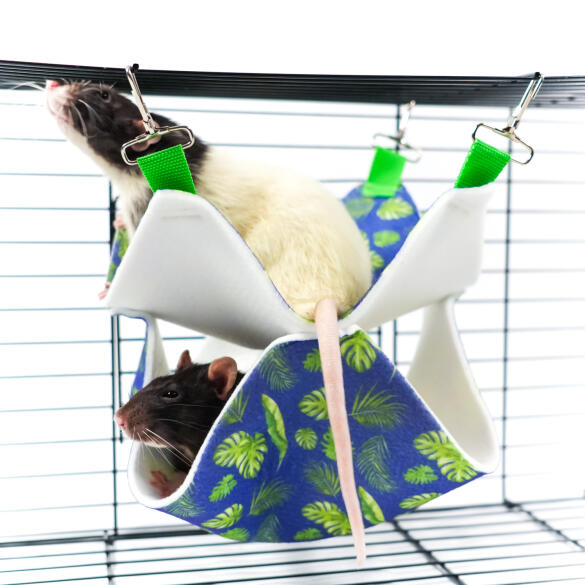 Гамак подвесной из фетра Bambini Pets "Двухуровневый" для грызунов и хорьков, 23*23*6см