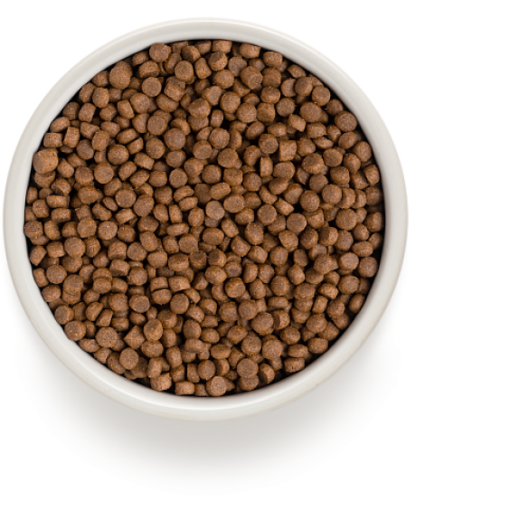 2кг Корм GRANDORF CAT 4 Meat PROBIOTIC INDOOR низкозерновой для кошек с пробиотиками и 4 вида мяса