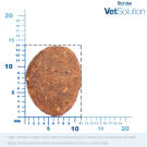 2кг Корм Monge VetSolution Dog Gastrointestinal Вет. диета для собак с заболеваниями ЖКТ