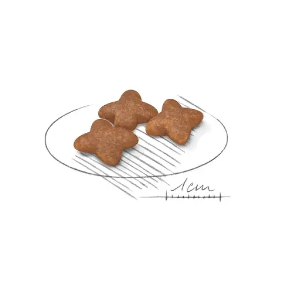 8кг Корм ROYAL CANIN Mini Adult для взрослых собак мелких пород