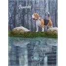 2кг Корм Primordial Holistic Grain-Free Dog Adult Trout & Duck для взрослых собак всех пород с Форелью и Уткой